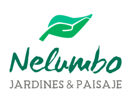 Logo de Nelumbo